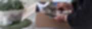 AdobeStock_85363591.jpeg