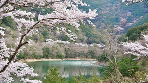 These Memorial Day Weekend Getaways Are Less Than $400