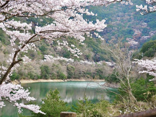 These Memorial Day Weekend Getaways Are Less Than $400