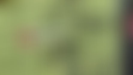 Best Lululemon Black Friday Deals