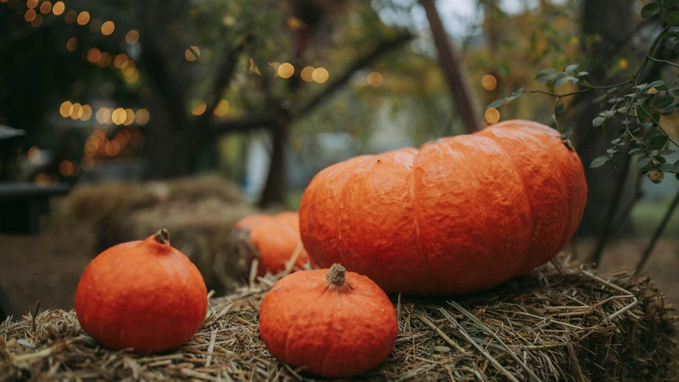 10 Fun Things To Do For Halloween In 2025 hero image