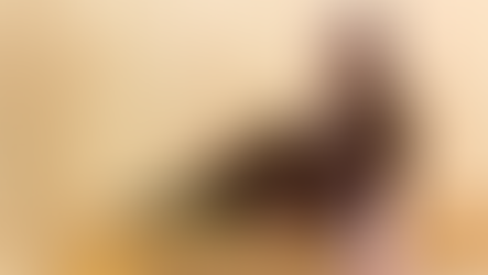 The Ultimate Christmas Gift Guide, Powered by Your Oliver Bonas Student Discount