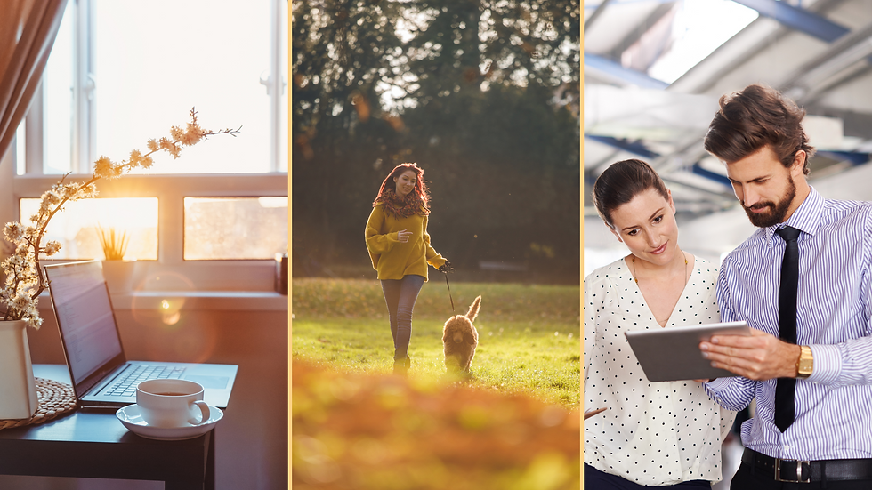 sunrise through a window with laptop on desk and a coffee. Woman in her 30s walking her dog in autumn leaves. Business man and woman discussing delegtion of tasks.