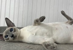 Leah relaxing