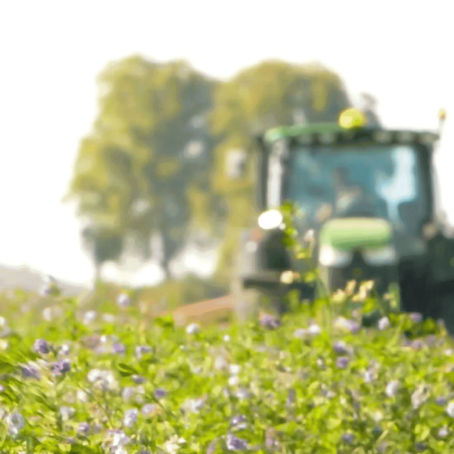 Nos formations CAP hors Affelnet (Métiers de l'Agriculture)