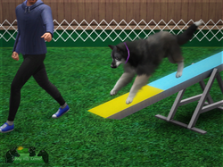 Agility 2