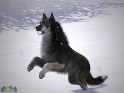 Narla's winter fun