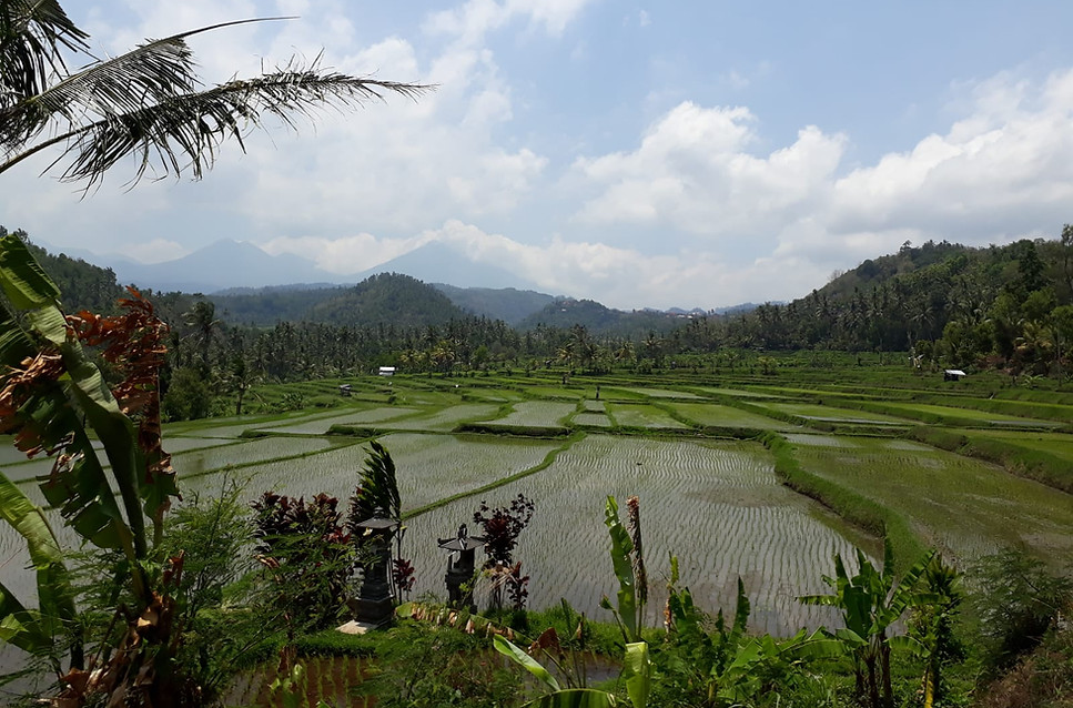 IMG-20191016-WA0116.jpg