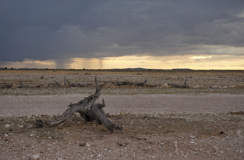 21. Etosha National Park - Pan (12).JPG