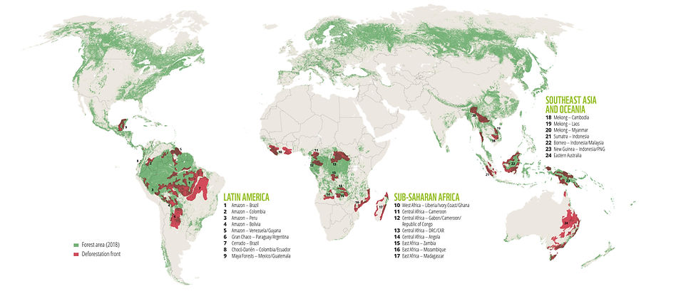Deforestation_Graphics4.jpg