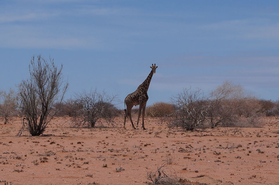 31. Damaraland (10).JPG