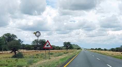 5. To Etosha (9).jpg