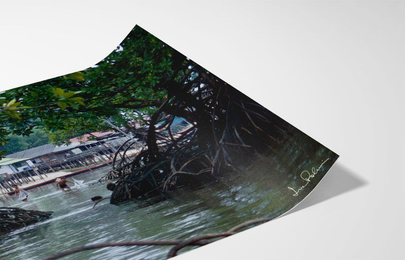 Thumbnail: Pulau Sudong mangroves, 1970s