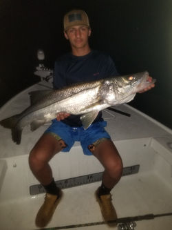 snook