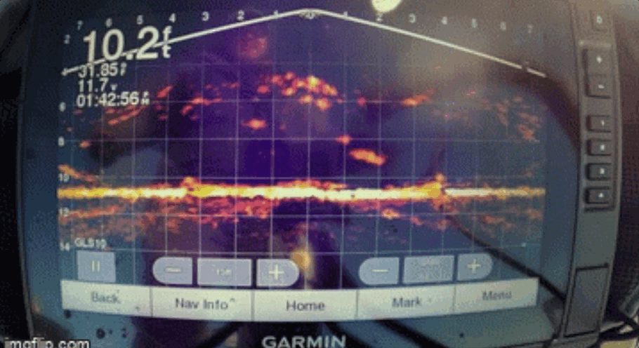 Garmin 2.gif