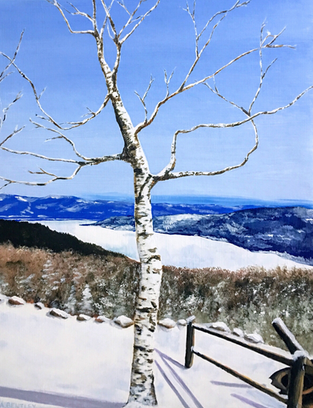 IMG_1246.PNG