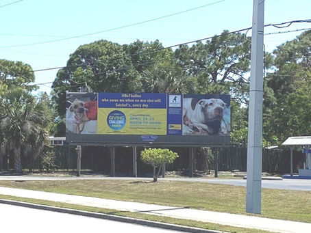 Donated Graphic Design Work for Satchel's Last Resort and a Billboard!