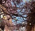 IMG_0976.jpeg
