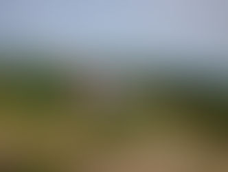 도심 속 힐링과 릴렉스의 공간, 대구 청라테라피