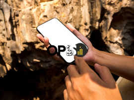 강남 밤문화, 서울의 밤을 가장 화려하게 즐기는 법