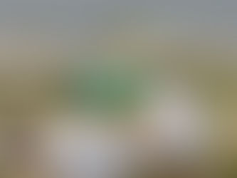 마사지 번따 가능한지 궁금하면 꼭 알아야 할 핵심 정보