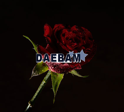 대구나이트클럽