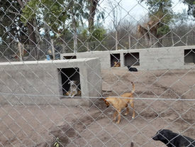 ¡UNA HERMOSA NOTICIA!