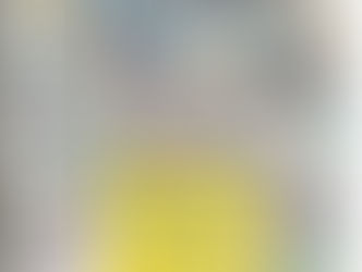 UN GRAN RECORRIDO POR POTREROS Y CANCHAS