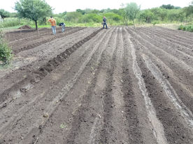UNIDAD DEL CAMPO Y LA CIUDAD