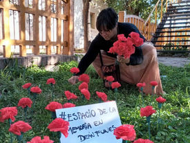 Plantamos memorias, cosechamos derechos.