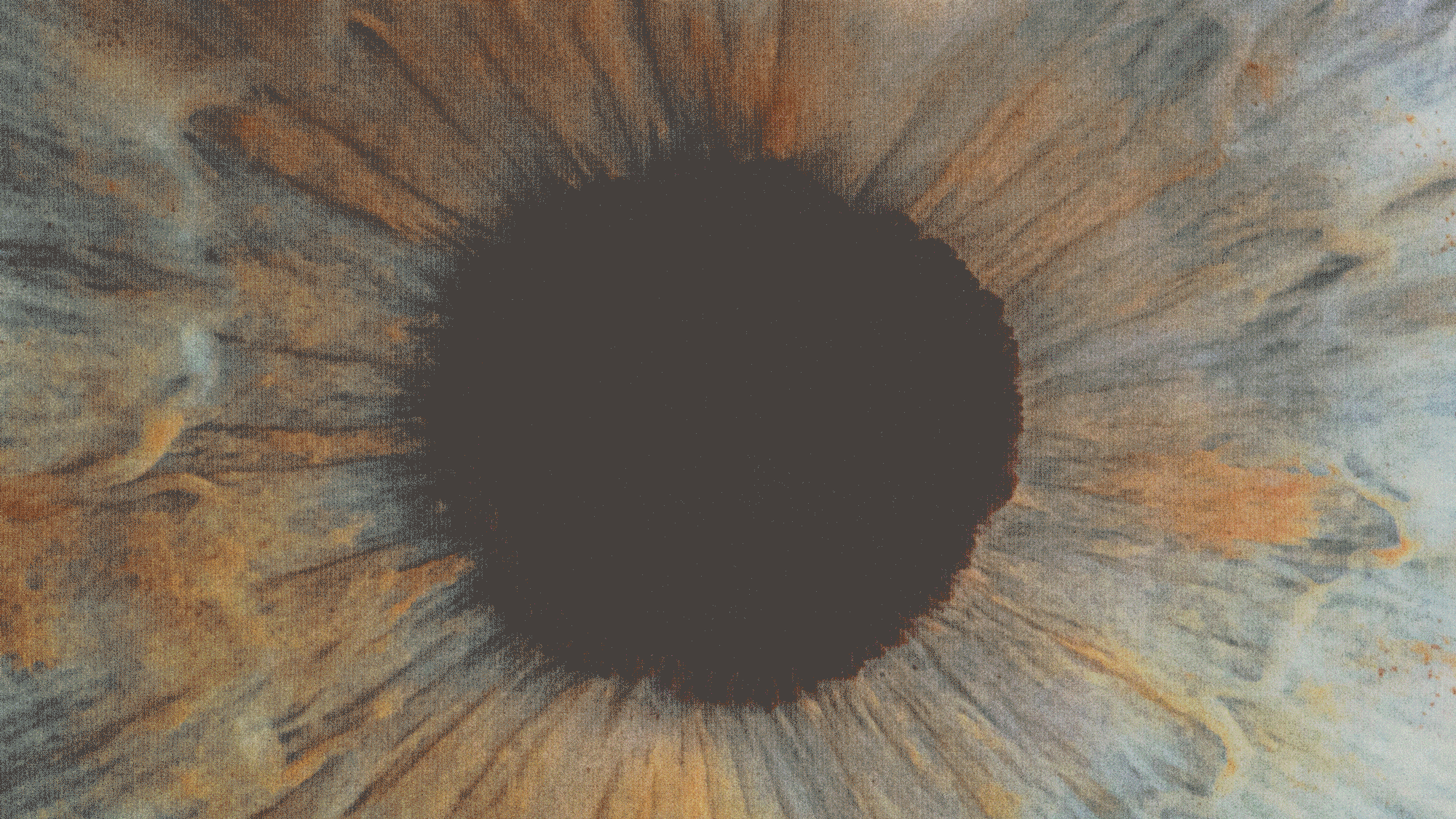 Sage_House_Hero-GIFv2.gif