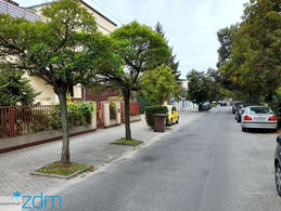 NA GRUNWALDZIE POJAWIĄ SIĘ NOWE DRZEWA (24 WRZEŚNIA 2021)