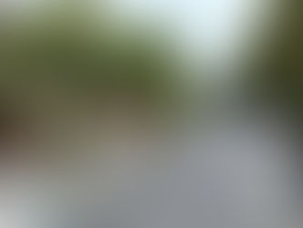 NA GRUNWALDZIE POJAWIĄ SIĘ NOWE DRZEWA (24 WRZEŚNIA 2021)