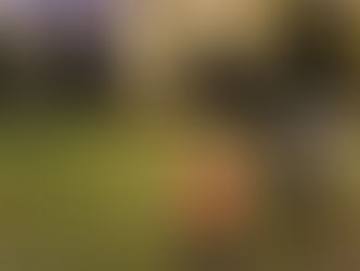 TRENER OSIEDLOWY PRZYJACIELEM DZIECI NA NASZYM OSIEDLU          (maj-czerwiec 2011)