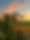 IMG_9600.jpeg