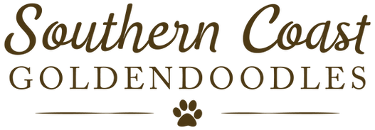 30308 SCG Logo Design Dark Brown.png