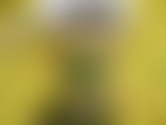 温泉と珈琲と人生と