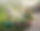 Sprinkler By Flowers_edited.jpg