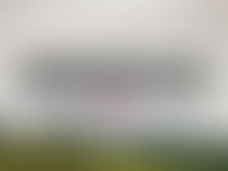 Patience: The Forgotten Quality