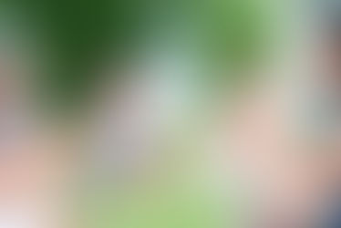 Socializing: The Key to Learn English Effectively