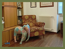 Progetto senza titolo(29)