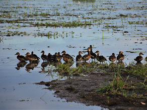 Budgeting for life on the road in Australia