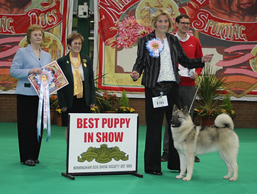 Whittimere No Nonsense of Rothenborg