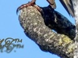 DSCN6226_wm-teil2_008