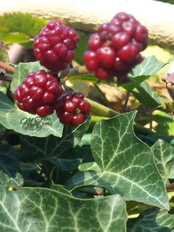 tmp_20190729134919_wm