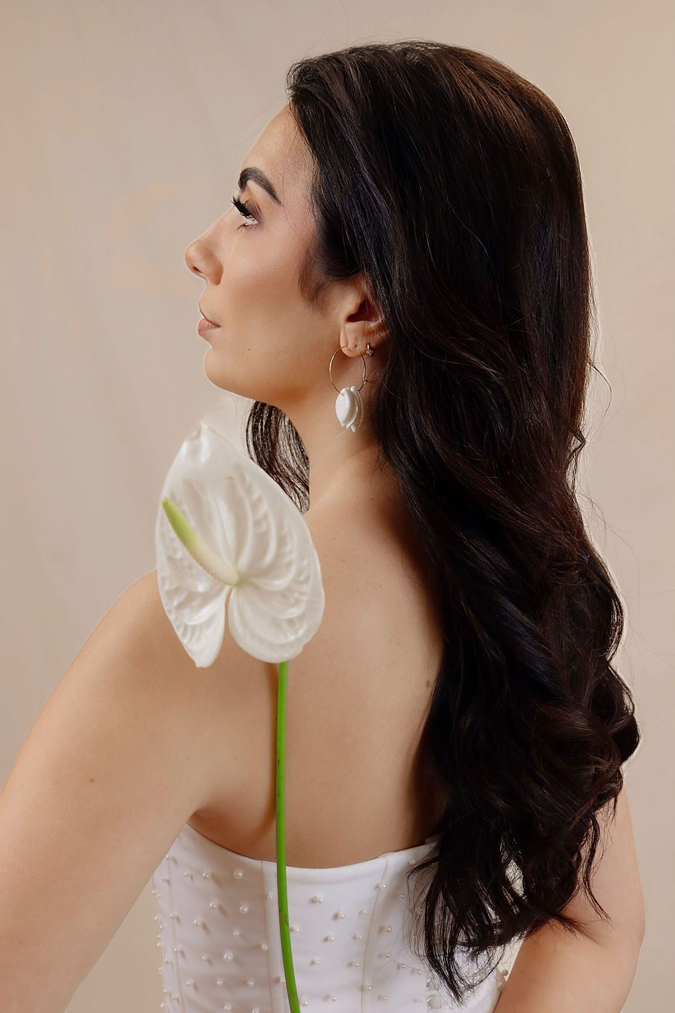 Miniature : IRIS