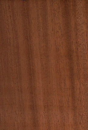 African Mahogany .gif