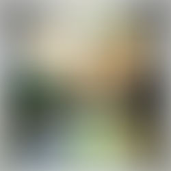 Pastel Crudivegano de Manzana