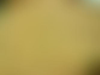 Tostaditas de arroz y quinoa