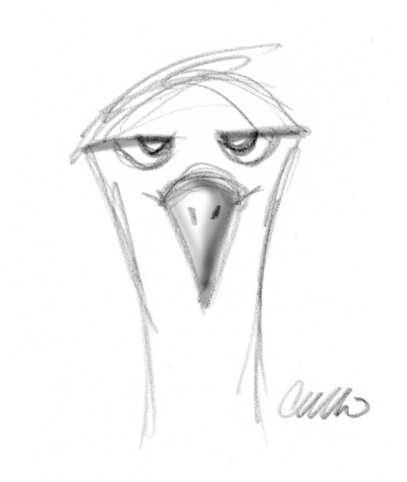 albatross.jpg
